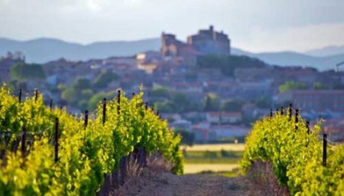 Route-des-vins-Languedoc-Roussillon-750x300